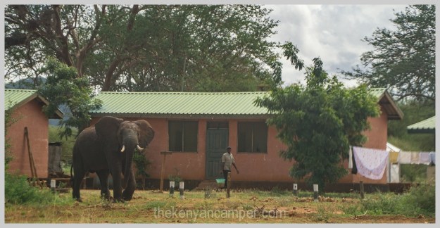 lake-chala-tsavo-west-lake-jipe-camping-kenya-79