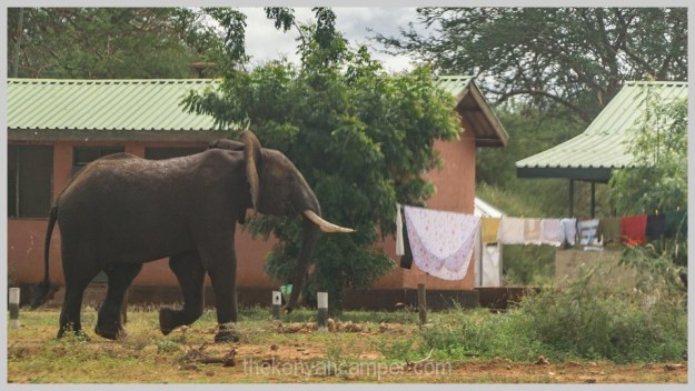 lake-chala-tsavo-west-lake-jipe-camping-kenya-81