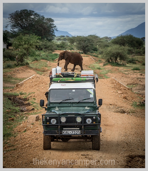 lake-chala-tsavo-west-lake-jipe-camping-kenya-86