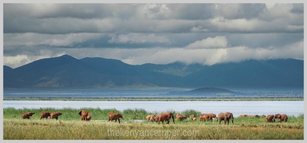 lake-chala-tsavo-west-lake-jipe-camping-kenya-96