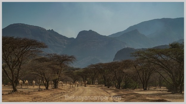 ngurunit-turkana-kalacha-marsabit-camping-kenya-002