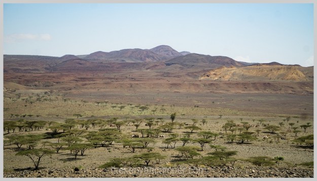 ngurunit-turkana-kalacha-marsabit-camping-kenya-047