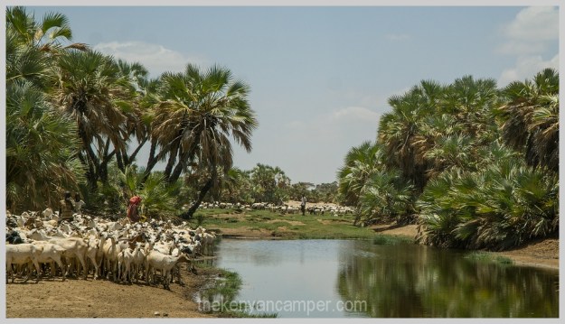 ngurunit-turkana-kalacha-marsabit-camping-kenya-138