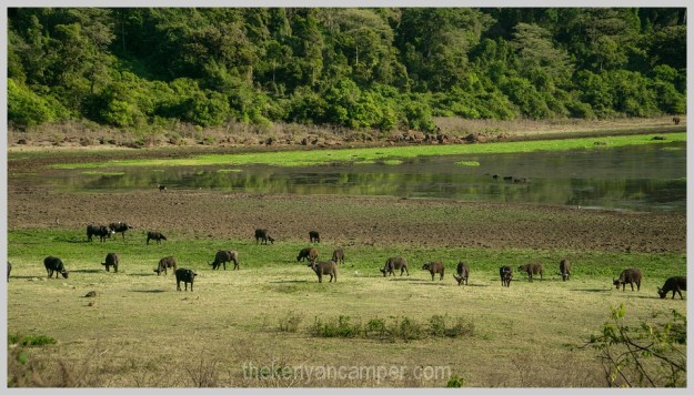ngurunit-turkana-kalacha-marsabit-camping-kenya-173