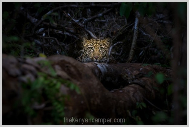 ngurunit-turkana-kalacha-marsabit-camping-kenya-183
