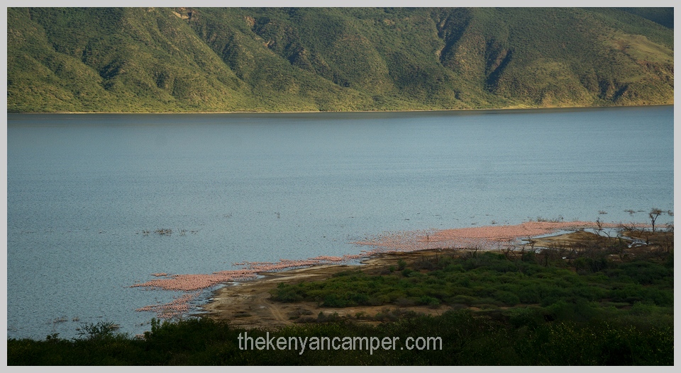 bogoria-baringo-maji-moto-camping-kenya-37