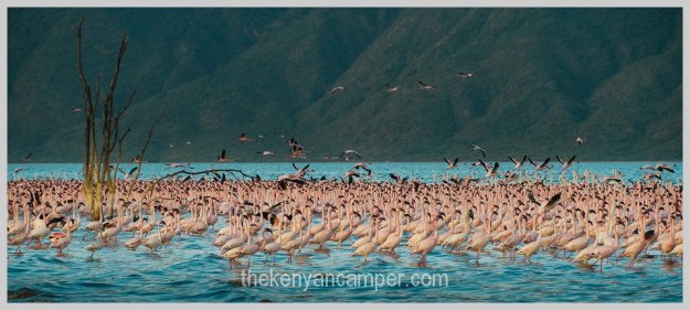 bogoria-baringo-maji-moto-camping-kenya-40