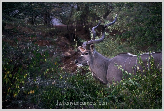 bogoria-baringo-maji-moto-camping-kenya-52