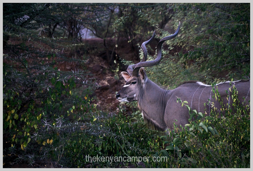 bogoria-baringo-maji-moto-camping-kenya-52