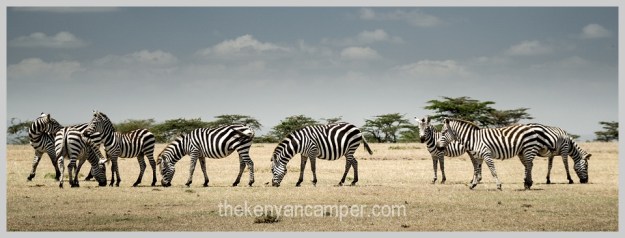 bogoria-baringo-maji-moto-camping-kenya-80