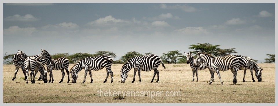 bogoria-baringo-maji-moto-camping-kenya-80