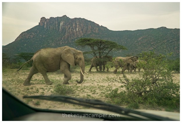 shaba-national-reserve-isiolo-camping-kenya-32