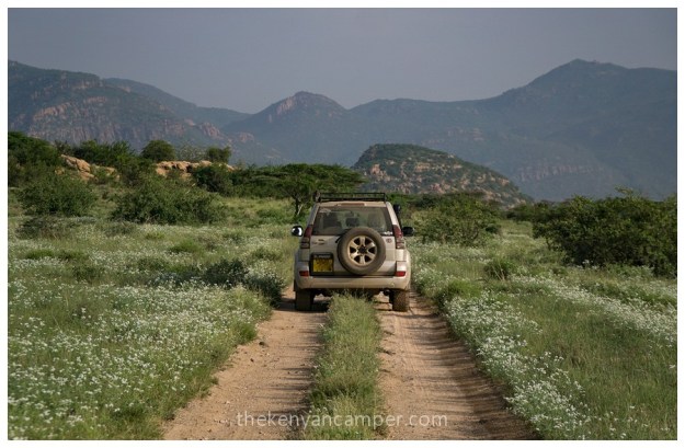 shaba-national-reserve-isiolo-camping-kenya-35