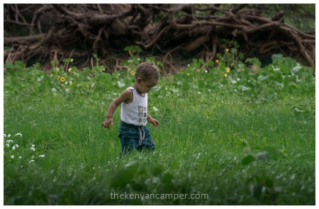 shaba-national-reserve-isiolo-camping-kenya-44
