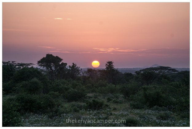 shaba-national-reserve-isiolo-camping-kenya-77