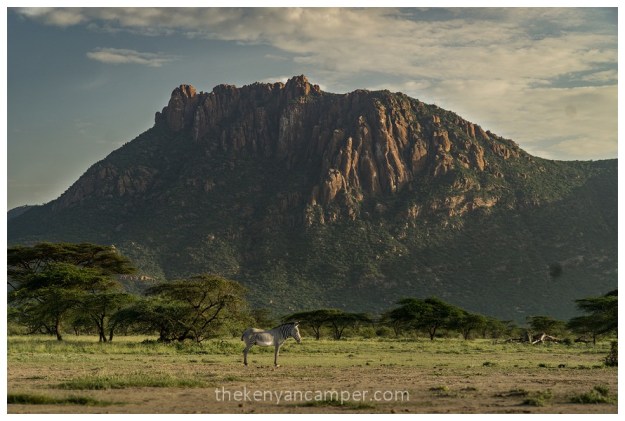 shaba-national-reserve-isiolo-camping-kenya-93