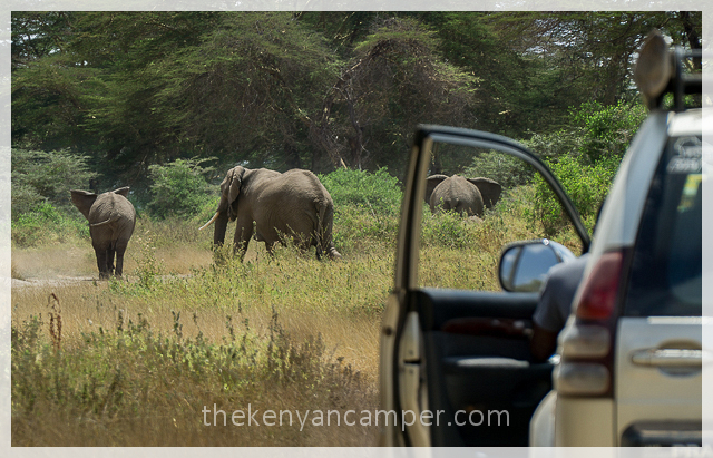 kimana-sanctuary-amboseli-kenya-10