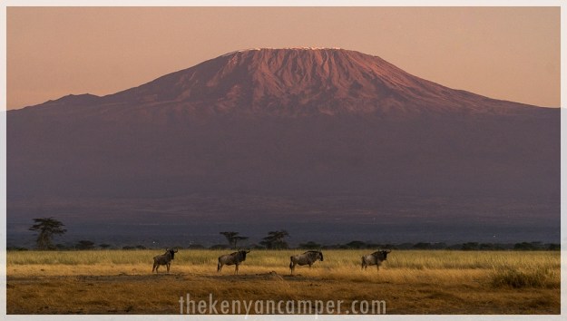 kimana-sanctuary-amboseli-kenya-111