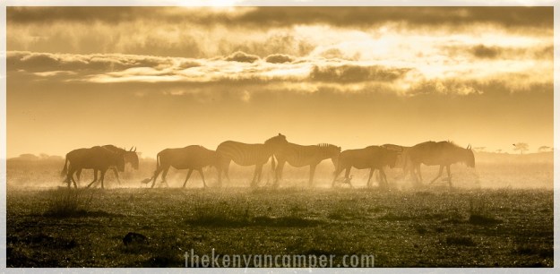 kimana-sanctuary-amboseli-kenya-124