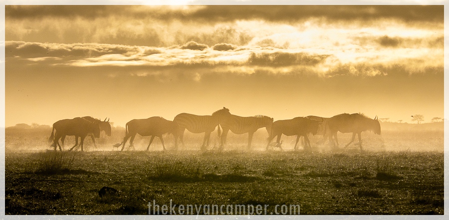kimana-sanctuary-amboseli-kenya-124