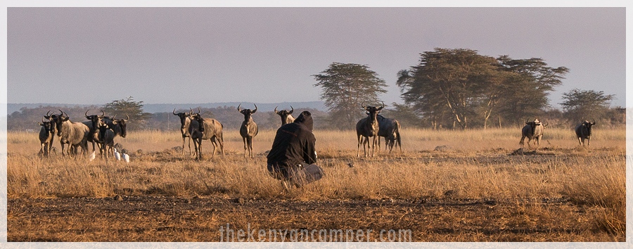 kimana-sanctuary-amboseli-kenya-128