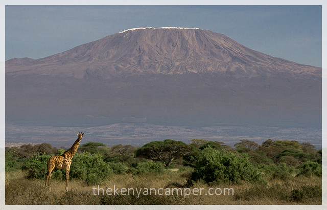 kimana-sanctuary-amboseli-kenya-136