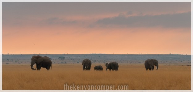 kimana-sanctuary-amboseli-kenya-27