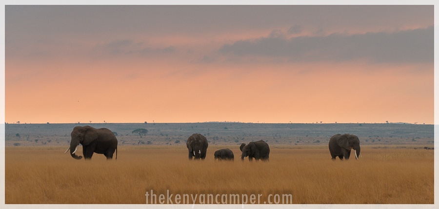 kimana-sanctuary-amboseli-kenya-27