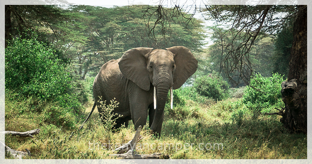 kimana-sanctuary-amboseli-kenya-3