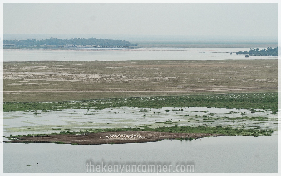 kimana-sanctuary-amboseli-kenya-36
