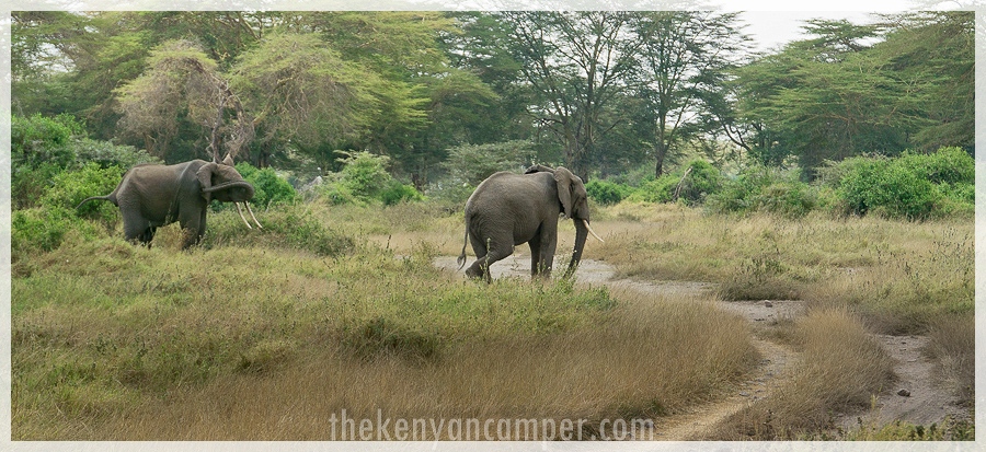 kimana-sanctuary-amboseli-kenya-6
