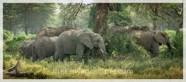 kimana-sanctuary-amboseli-kenya-7