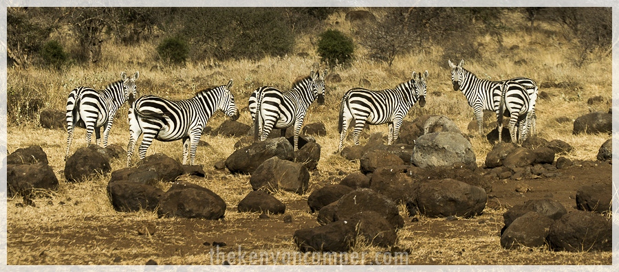 kimana-sanctuary-amboseli-kenya-70