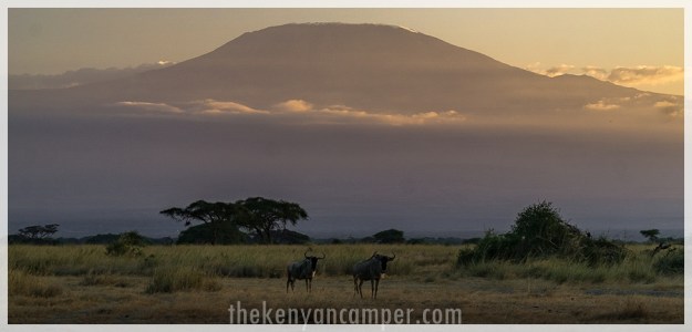 kimana-sanctuary-amboseli-kenya-88