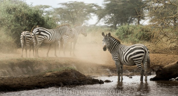 kimana-sanctuary-house-amboseli-15
