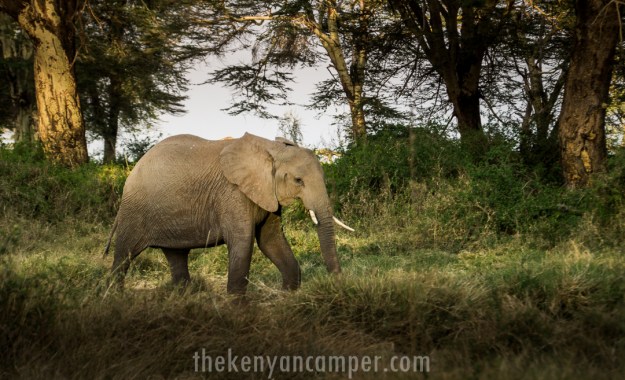 kimana-sanctuary-house-amboseli-8